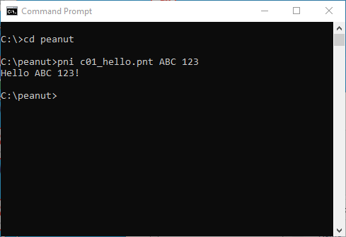 Execute commands